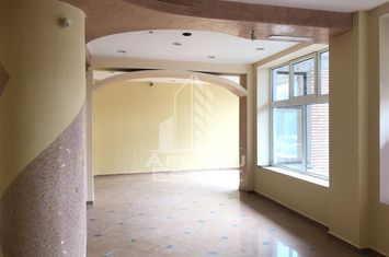 Spatiu Comercial, 107 mp, Zona Dorobantilor anunturi imobiliare Timis