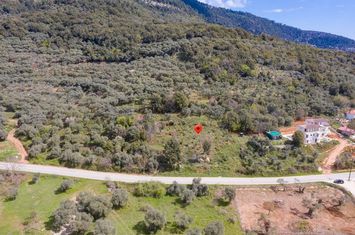 Teren construibil 2905,44 mp, Chrisi Ammoudia anunturi imobiliare Grecia
