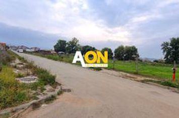 Oportunitate de investitie, posibilitate parcelare, 12.000 MP, Sebes anunturi imobiliare Alba