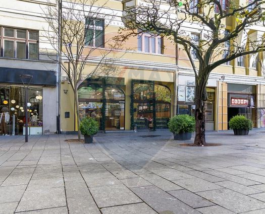 Spațiu comercial Ultracentral, 268 mp