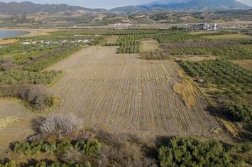 Teren agricol 4.000 mp în Paralia Ofriniou anunturi imobiliare Grecia