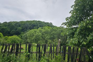 Teren intravilan 3.837 mp Cartier Bocșa Montană, Str. Izvor, Jud. CS anunturi imobiliare Caras Severin
