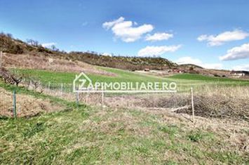 Parcele de  603 mp.teren intravilan, drum de 9 m.Livezeni anunturi imobiliare Mures