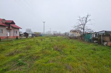 Teren intravilan de vânzare – Ciorogârla, Ilfov anunturi imobiliare Bucuresti