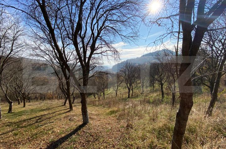 Teren de vanzare ALBA IULIA - Alba anunturi imobiliare Alba