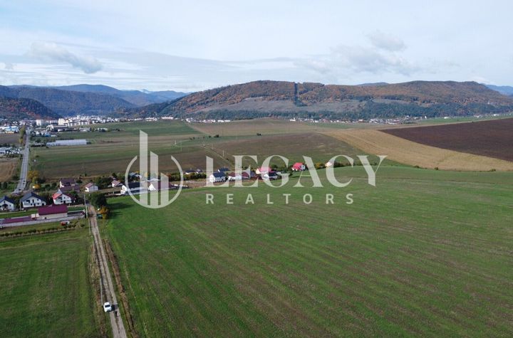 Teren intravilan 10.000 mp Gârcina lângă Sala Polivalenta Piatra Neamț anunturi imobiliare Neamt