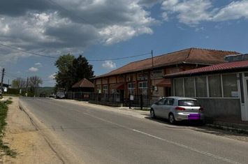 De vanzare Spatiu comercial+teren - Hales Tisau - Buzau anunturi imobiliare Buzau