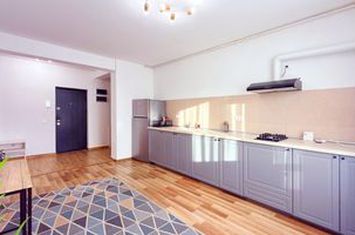 2 camere tip studio Pallady mobilat imobil 2020 metrou Teclu 15 min anunturi imobiliare Bucuresti