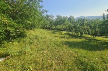 Teren intravilan de vânzare în Breaza - Zona Capul Câmpului anunturi imobiliare Prahova