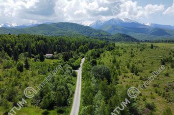 Teren Extravilan de vanzare AVRIG - Sibiu anunturi imobiliare Sibiu