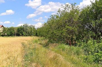 Vidra Complex Dealu Verde teren 385 mp anunturi imobiliare Bucuresti