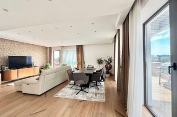 Penthouse with generous terrace, unobstructed view, Primaverii area anunturi imobiliare Bucuresti