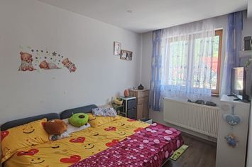 Vilă - 4 camere de vanzare BAIA SPRIE - Maramures anunturi imobiliare Maramures