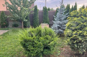 Vilă - 5 camere de vanzare SANGEORGIU DE MURES - Mures anunturi imobiliare Mures