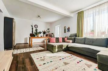 Vilă - 4 camere de vanzare AGIGEA - Constanta anunturi imobiliare Constanta