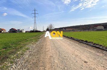 Teren de vanzare pe Nazareth Ilith, 2050MP anunturi imobiliare Alba