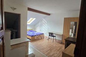 Garsoniera la casa, centrala imobil, zona Aradului, Timisoara anunturi imobiliare Timis