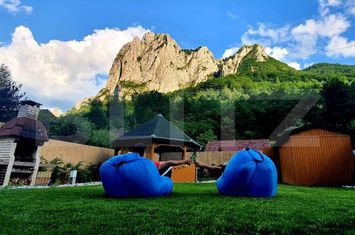 Vilă - 6 camere de vanzare TEIUS - Alba anunturi imobiliare Alba
