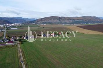 Teren intravilan 10.000 mp Gârcina lângă Sala Polivalenta Piatra Neamț anunturi imobiliare Neamt