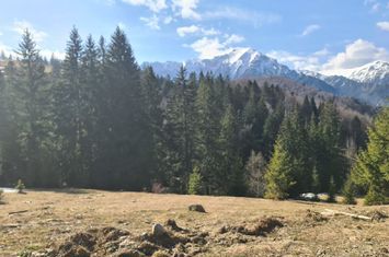 Teren de vânzare în Predeal - Zona Predeal - Râșnov anunturi imobiliare Brasov