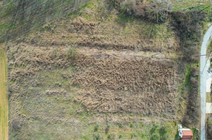 Teren 3.600 mp în suburbia Drama anunturi imobiliare Grecia
