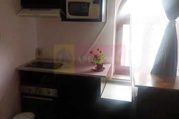 Studio in vila | Mobilat | Kiseleff, Sector 1 anunturi imobiliare Bucuresti