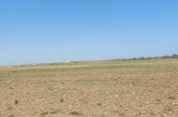 OLIMP TEREN INTRAVILAN 24100 MP anunturi imobiliare Constanta