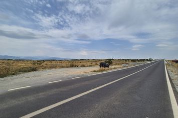 Teren de vanzare TARGU-JIU - Gorj anunturi imobiliare Gorj