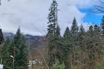Vilă de vânzare în Sinaia anunturi imobiliare Prahova