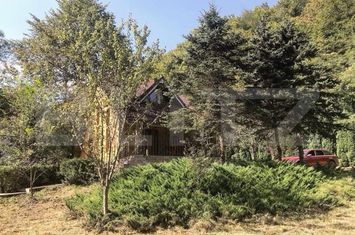 Vilă - 3 camere de vanzare IGHIU - Alba anunturi imobiliare Alba