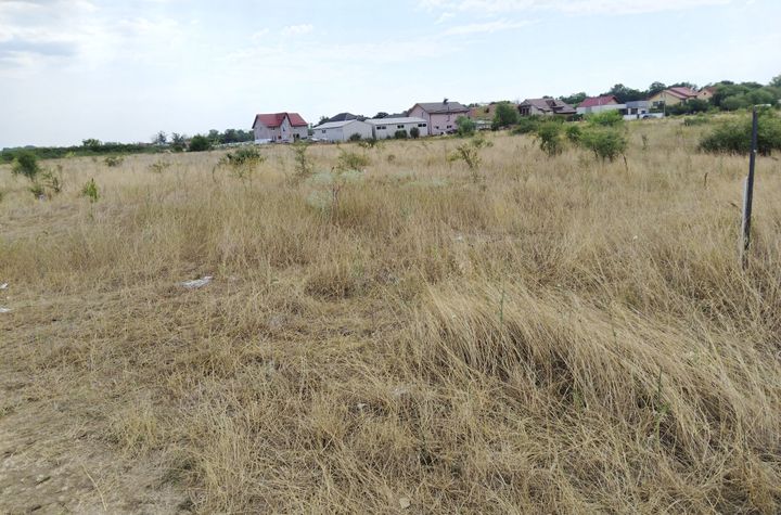 Teren de vanzare POPOVENI - Dolj anunturi imobiliare Dolj
