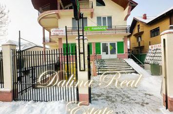 Vanzare - Vila Premium cu Potential de Business - Vidra anunturi imobiliare Bucuresti