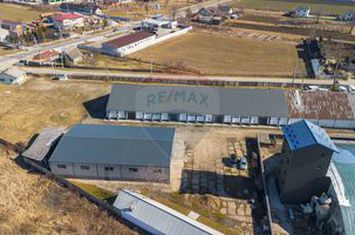 Hale industriale de închiriat în Tg Neamț anunturi imobiliare Neamt
