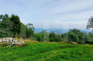 Teren de vanzare FELEACU - Cluj anunturi imobiliare Cluj