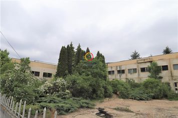 Spațiu comercial de vanzare CODLEA - Brasov anunturi imobiliare Brasov