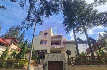 Vila de lux de vanzare in Predeal anunturi imobiliare Brasov
