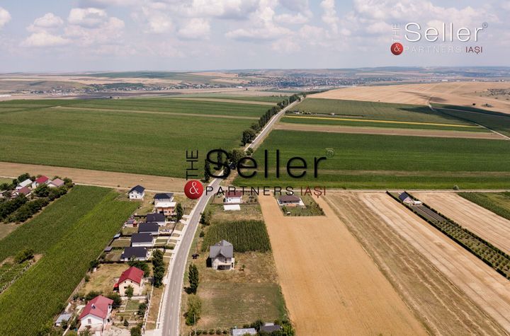VILĂ  LA ROSU IDEALĂ PENTRU LOCUINȚĂ si AFACERE anunturi imobiliare Iasi