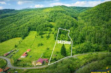 Teren Intravilan de vanzare EXTERIOR EST - Brasov anunturi imobiliare Brasov