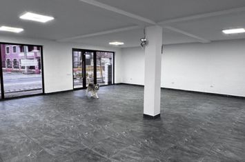Spațiu comercial de inchiriat PODARI - Dolj anunturi imobiliare Dolj