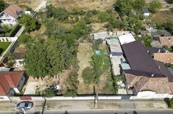 Loc de casă în Poltura Arad anunturi imobiliare Arad