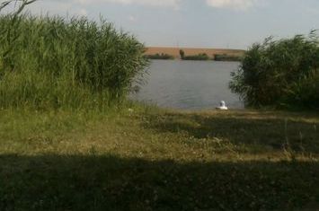 TEREN CU DESCHIDERE LA BALTA FACAU -GIURGIU ! anunturi imobiliare Giurgiu