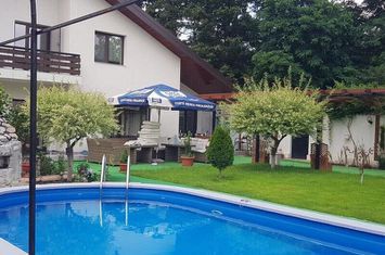 Afumati vila 8 camere , teren 1300 mp , piscina anunturi imobiliare Bucuresti