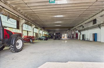Complex industrial cu hale și teren  în Orțișoara anunturi imobiliare Timis