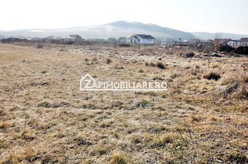 Teren  Intravilan 2.075 mp. 59.euro mp.Sangeorgiu de Mures anunturi imobiliare Mures