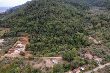 Teren construibil 5.275 mp în Koinira, Thassos anunturi imobiliare Grecia