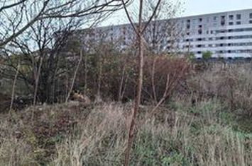 Teren Intravilan Oras Bragadiru anunturi imobiliare Bucuresti
