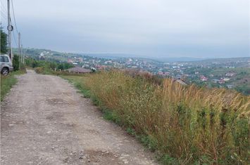 Teren Intravilan de vanzare BUCIUM - Iasi anunturi imobiliare Iasi