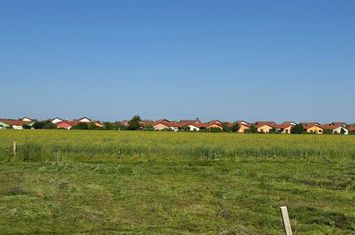 Teren de vanzare PALEU - Bihor anunturi imobiliare Bihor