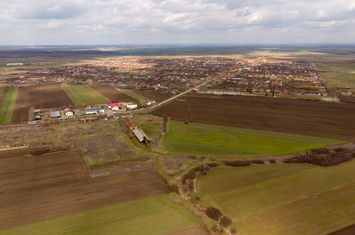 Fermă cu teren intravilan de 35000 mp în Mișca anunturi imobiliare Arad