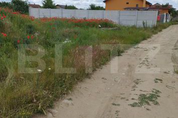 Teren de vanzare CERNELE - Dolj anunturi imobiliare Dolj